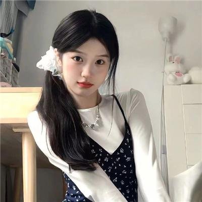 公园路的猫们