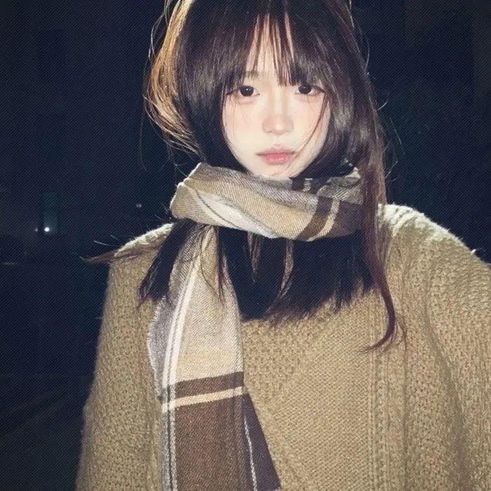 写给勃列日涅夫的信